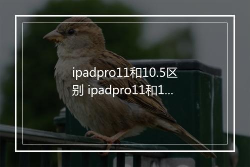 ipadpro11和10.5区别 ipadpro11和10.5有什么区别