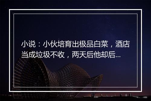 小说:小伙培育出极品白菜,酒店当成垃圾不收,两天后他却后悔了