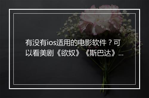 有没有ios适用的电影软件?可以看美剧《欲奴》《斯巴达》之类的
