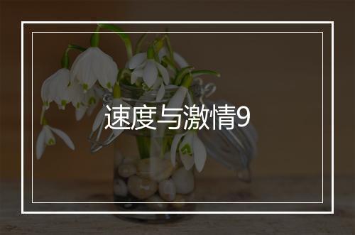 速度与激情9