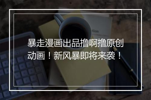 暴走漫画出品撸啊撸原创动画!新风暴即将来袭!