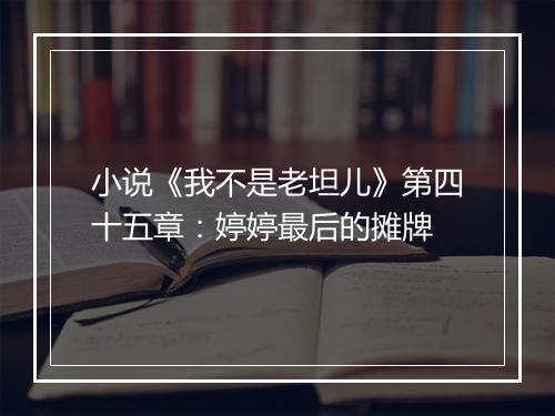 小说《我不是老坦儿》第四十五章:婷婷最后的摊牌
