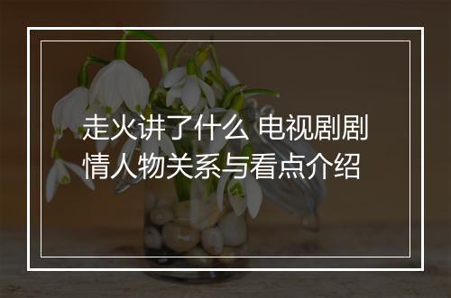 走火讲了什么 电视剧剧情人物关系与看点介绍