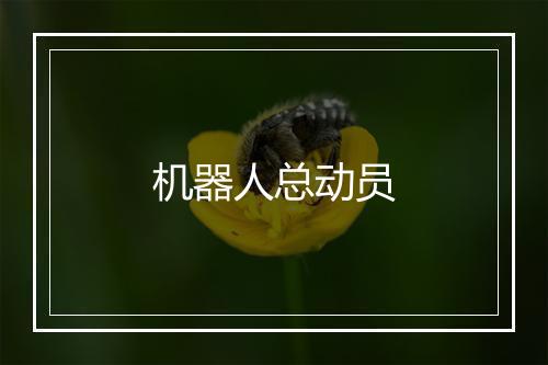 机器人总动员