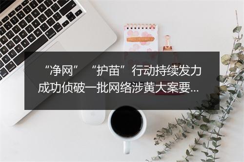 “净网”“护苗”行动持续发力 成功侦破一批网络涉黄大案要案