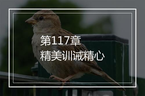 第117章 精美训诫精心