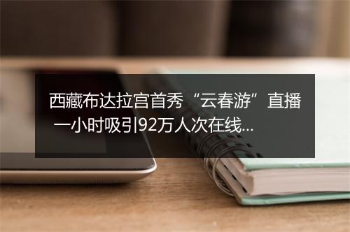 西藏布达拉宫首秀“云春游”直播 一小时吸引92万人次在线观看