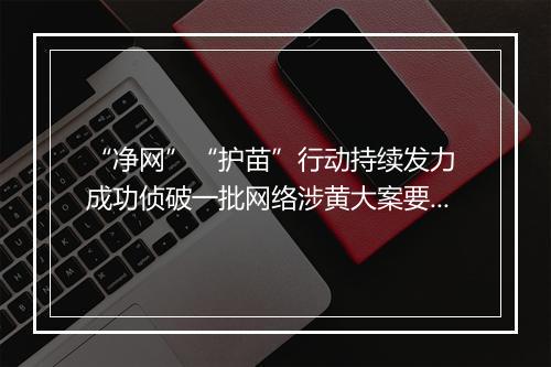 “净网”“护苗”行动持续发力 成功侦破一批网络涉黄大案要案