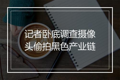 记者卧底调查摄像头偷拍黑色产业链