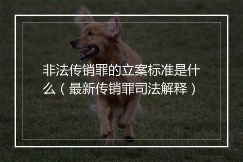 非法传销罪的立案标准是什么(最新传销罪司法解释)