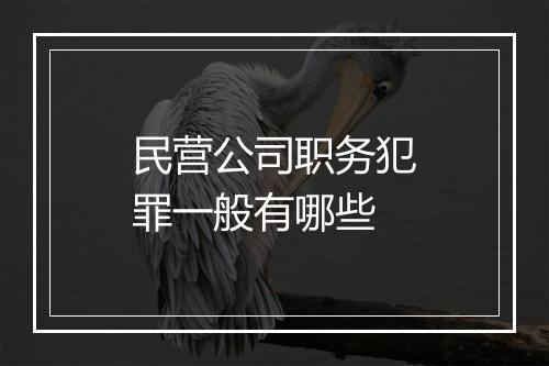 民营公司职务犯罪一般有哪些