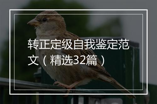 转正定级自我鉴定范文(精选32篇)