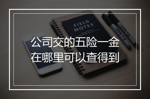 公司交的五险一金在哪里可以查得到