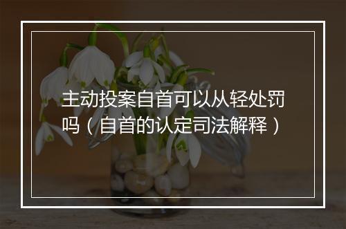 主动投案自首可以从轻处罚吗(自首的认定司法解释)