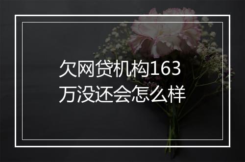 欠网贷机构163万没还会怎么样