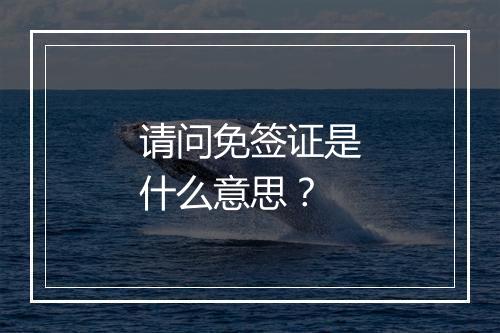 请问免签证是什么意思?