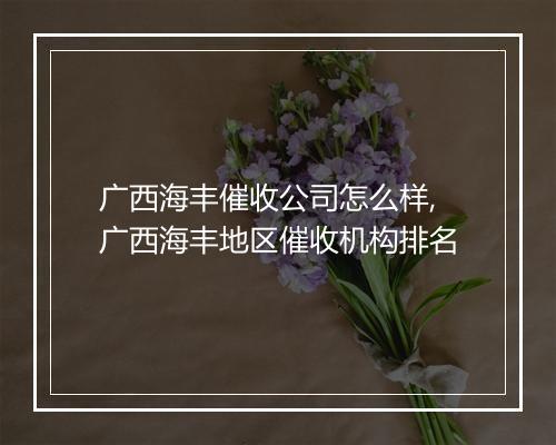 广西海丰催收公司怎么样,广西海丰地区催收机构排名