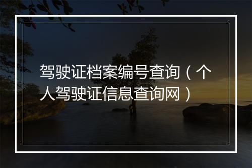 驾驶证档案编号查询(个人驾驶证信息查询网)