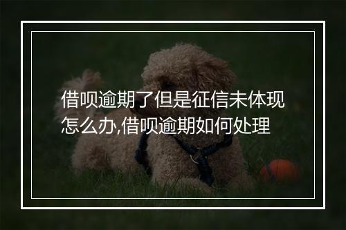 借呗逾期了但是征信未体现怎么办,借呗逾期如何处理