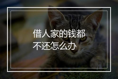 借人家的钱都不还怎么办