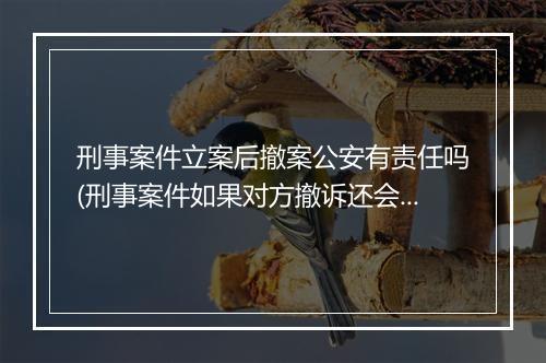 刑事案件立案后撤案公安有责任吗(刑事案件如果对方撤诉还会追究责任)