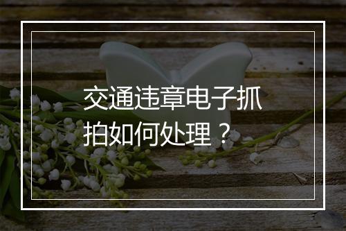 交通违章电子抓拍如何处理?