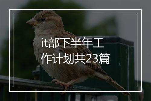 it部下半年工作计划共23篇