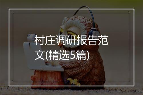 村庄调研报告范文(精选5篇)