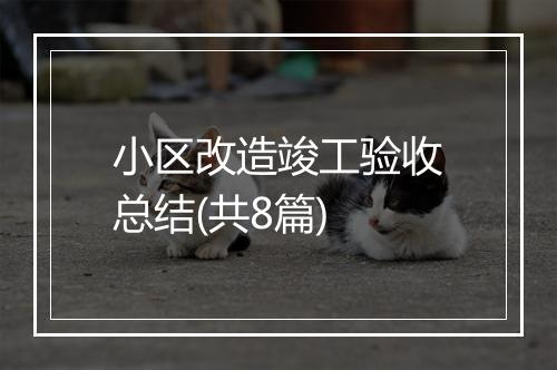小区改造竣工验收总结(共8篇)