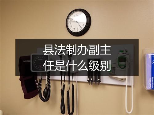 县法制办副主任是什么级别
