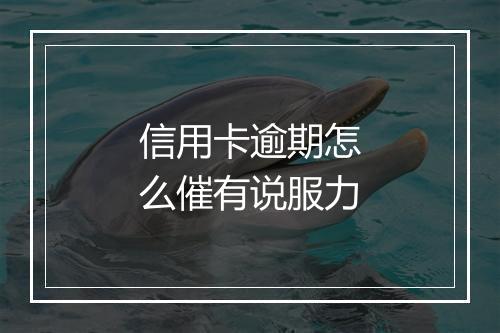 信用卡逾期怎么催有说服力