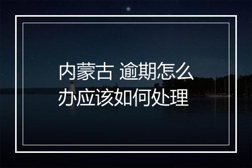 内蒙古 逾期怎么办应该如何处理