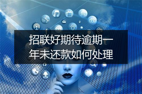招联好期待逾期一年未还款如何处理