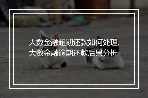 大数金融超期还款如何处理,大数金融逾期还款后果分析