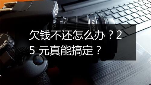 欠钱不还怎么办?25 元真能搞定?