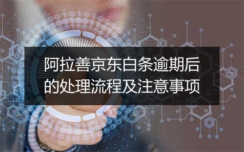 阿拉善京东白条逾期后的处理流程及注意事项