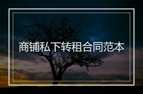 商铺私下转租合同范本