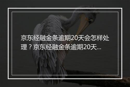 京东经融金条逾期20天会怎样处理?京东经融金条逾期20天会有什么后果?