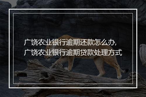 广饶农业银行逾期还款怎么办,广饶农业银行逾期贷款处理方式
