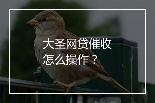 大圣网贷催收怎么操作?
