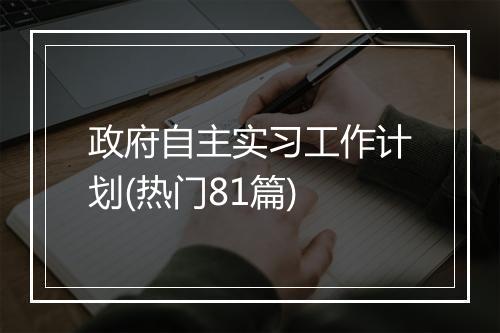 政府自主实习工作计划(热门81篇)