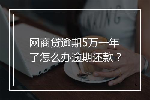 网商贷逾期5万一年了怎么办逾期还款?