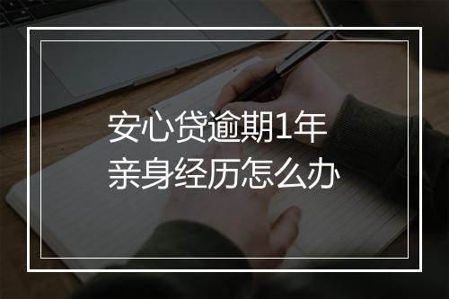 安心贷逾期1年亲身经历怎么办