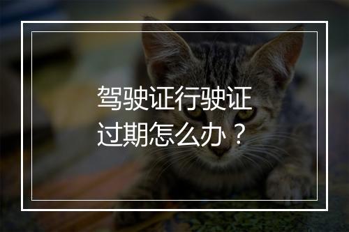 驾驶证行驶证过期怎么办?