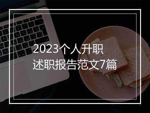 2023个人升职述职报告范文7篇