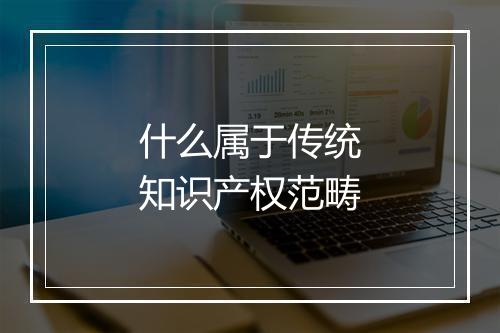 什么属于传统知识产权范畴