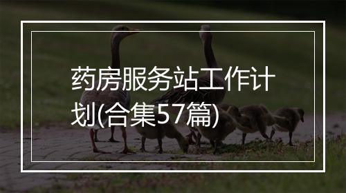 药房服务站工作计划(合集57篇)