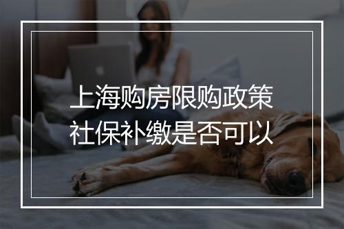 上海购房限购政策社保补缴是否可以