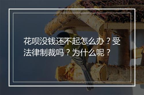 花呗没钱还不起怎么办?受法律制裁吗?为什么呢?