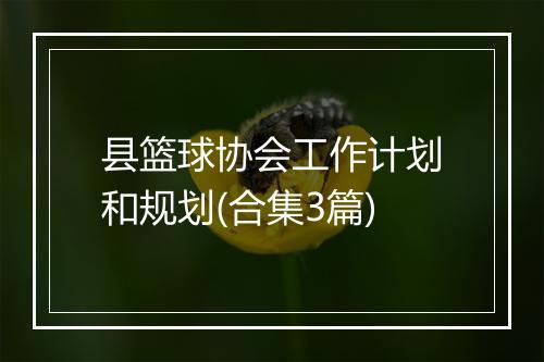 县篮球协会工作计划和规划(合集3篇)
